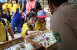 Inpa promove programação na Semana Nacional de Ciência e Tecnologia