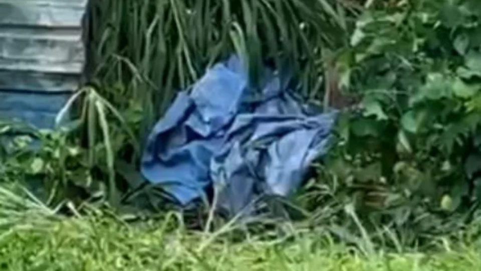 Corpo de homem sem braços é encontrado no Aleixo; Vítima era suspeita de abuso sexual