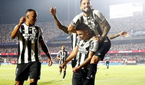 Botafogo atropela Peñarol por 5 x 0 e encaminha classificação para a final da Libertadores