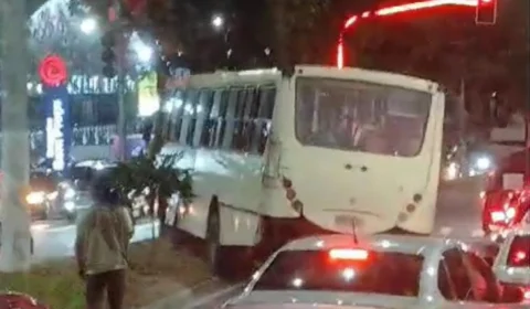 Vídeo: ônibus do transporte especial colide contra árvore na Av. Torquato Tapajós