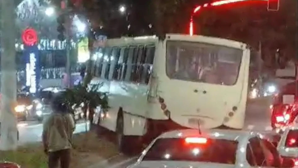 Vídeo: ônibus do transporte especial colide contra árvore na Av. Torquato Tapajós