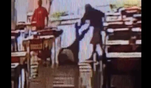 VEJA VÍDEO: homem agride tutor de cachorro para tentar roubar animal dentro de comércio