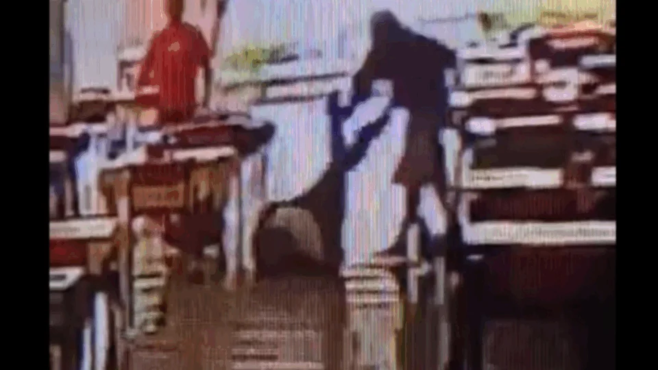 VEJA VÍDEO: homem agride tutor de cachorro para tentar roubar animal dentro de comércio