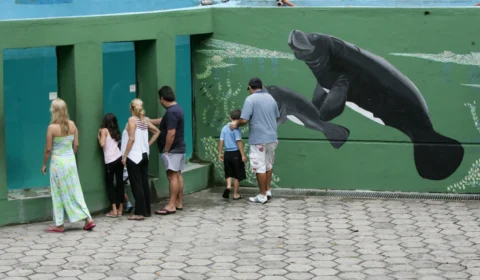 Bosque da Ciência promove programação alusiva ao Dia das Crianças neste sábado (12)