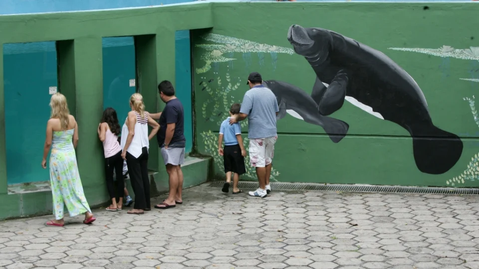 Bosque da Ciência promove programação alusiva ao Dia das Crianças neste sábado (12)