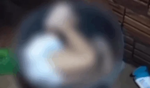 VEJA VÍDEO: bebê de 1 ano é encontrado morto dentro de balde com água