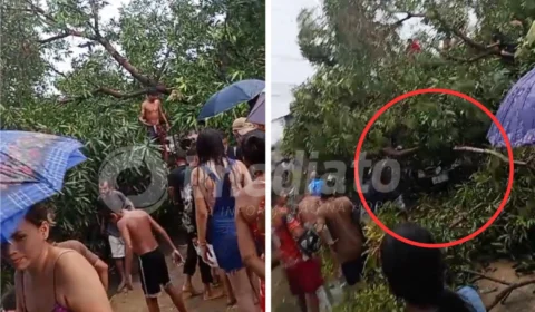 VÍDEO: casal é resgatado após árvore cair em cima de carro no bairro Coroado