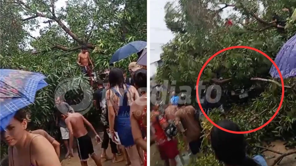 VÍDEO: casal é resgatado após árvore cair em cima de carro no bairro Coroado