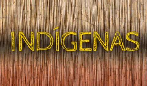 MPF aciona município de Manaus (AM) na Justiça para que resolva precariedades na educação escolar indígena