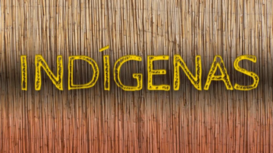 MPF aciona município de Manaus (AM) na Justiça para que resolva precariedades na educação escolar indígena