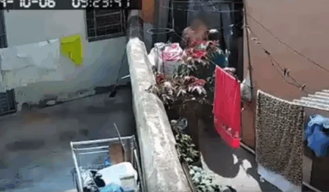 VEJA VÍDEO: pai é flagrado por câmera agredindo filho autista com vassouradas