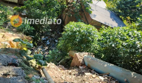 Moradores enfrentam descaso e falta de infraestrutura no bairro Novo Aleixo