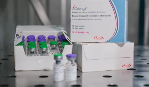 Fiocruz oficializa pedido para produzir vacina contra dengue no Brasil