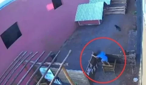 Massacre de bichos por menino de 9 anos não será punido, diz polícia