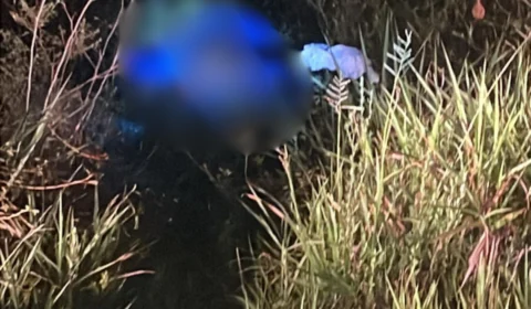 Corpo de homem é encontrado em área de mata na AM-010