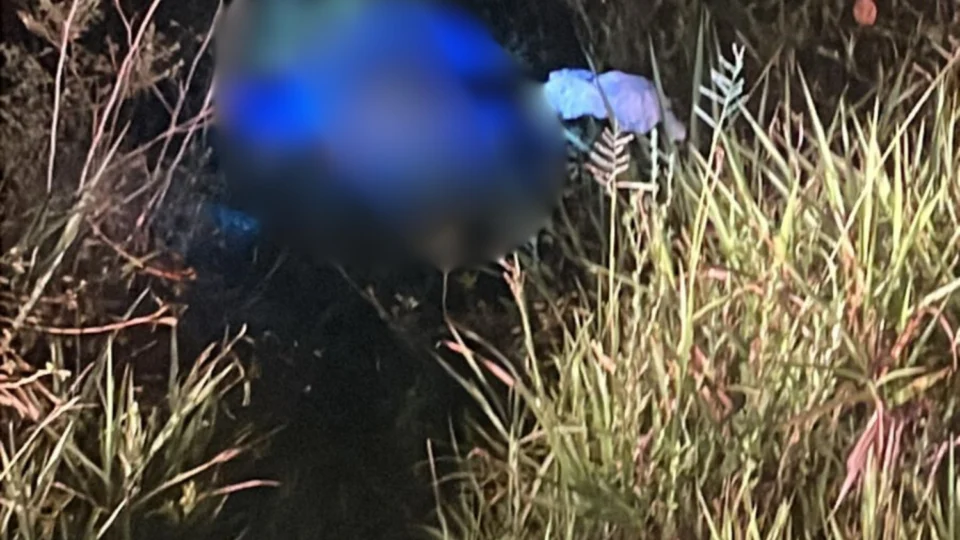 Corpo de homem é encontrado em área de mata na AM-010