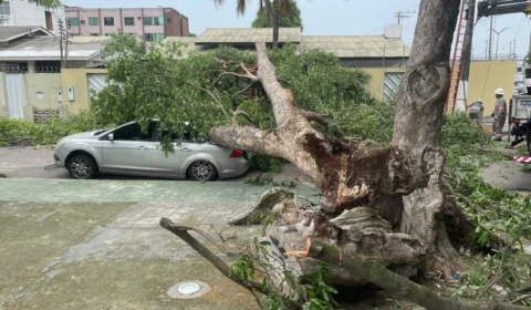 Ventania derruba árvore sobre carro e danifica rede elétrica no bairro São Jorge