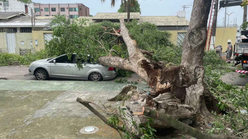Ventania derruba árvore sobre carro e danifica rede elétrica no bairro São Jorge