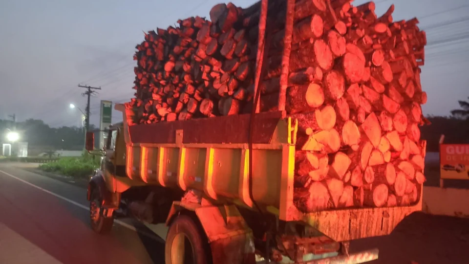 Polícia Militar do Amazonas Prende Dupla com 34 Metros Cúbicos de Madeira Nativa em Manacapuru