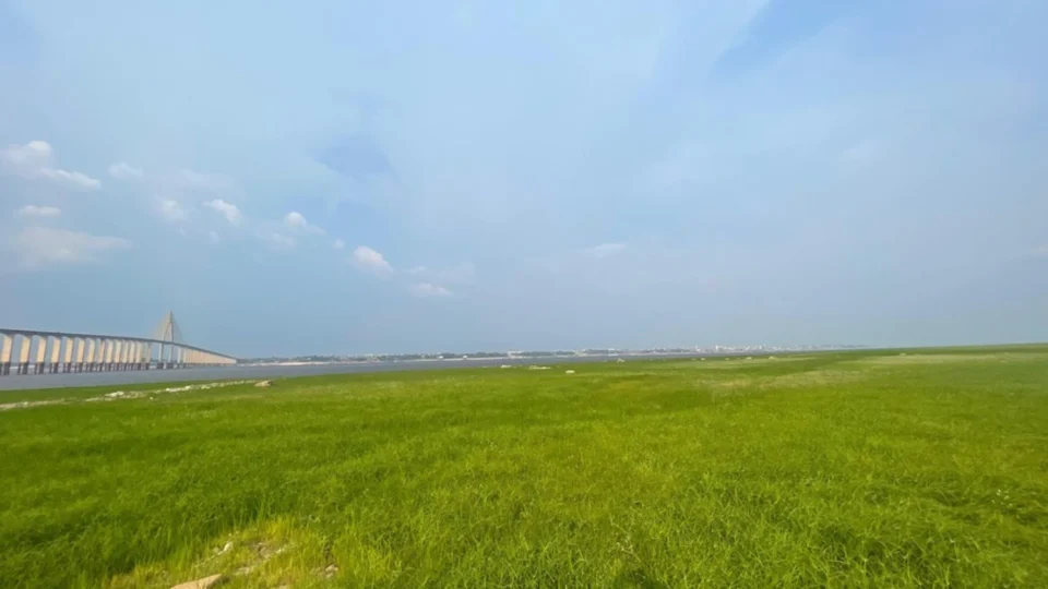 Seca transforma margem do Rio Negro em ‘parque’ com grama verde e atrai visitantes em Manaus