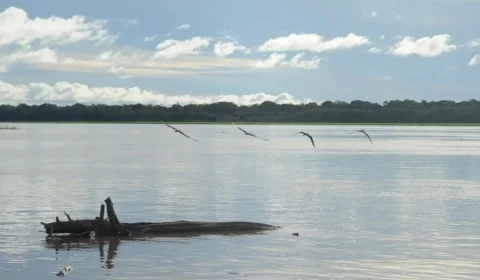 Seca: governo paga auxílio para pescadores da Região Norte
