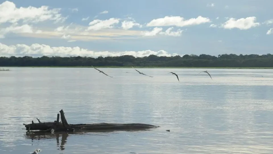 Seca: governo paga auxílio para pescadores da Região Norte
