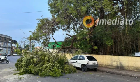 Galho de árvore cai e atinge carro estacionado no Parque Dez, em Manaus