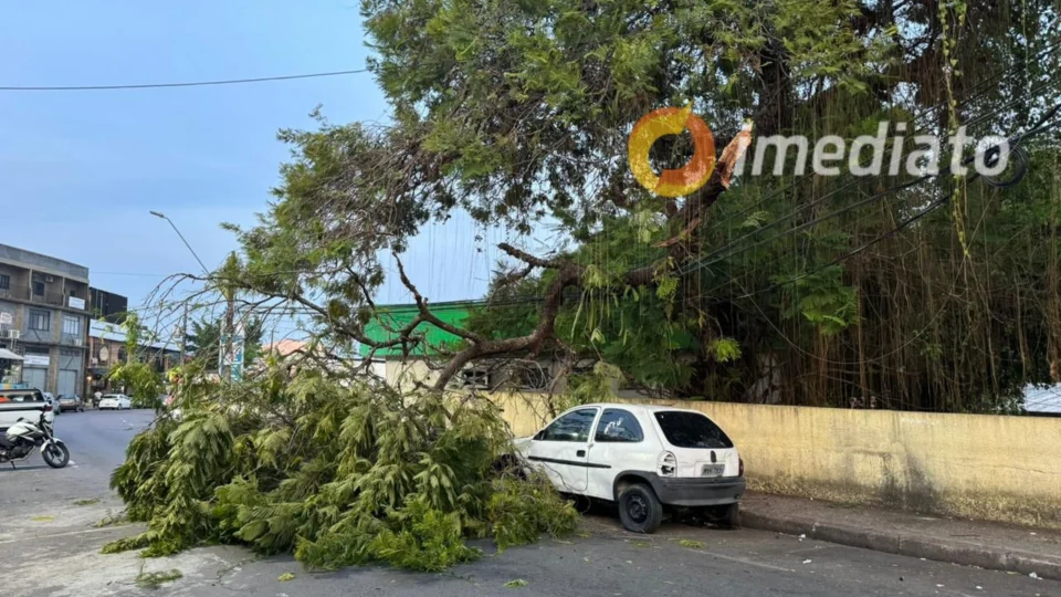 Galho de árvore cai e atinge carro estacionado no Parque Dez, em Manaus