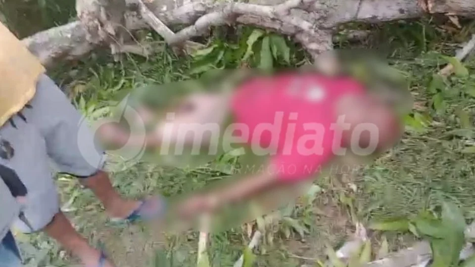 VEJA VÍDEO: homem tenta colher manga durante ventania e árvore cai em cima dele no Amazonas