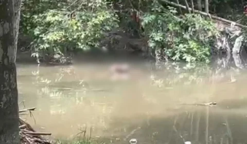 Corpo é encontrado em igarapé no Parque do Mindú em Manaus