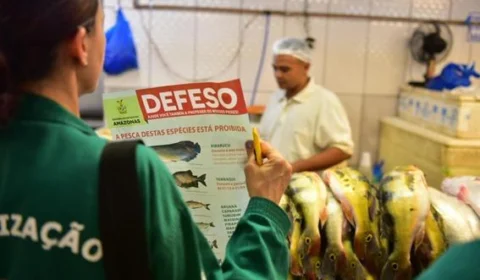 Ipaam anuncia início do Período de Defeso das Espécies Subaquáticas no Amazonas – 2024