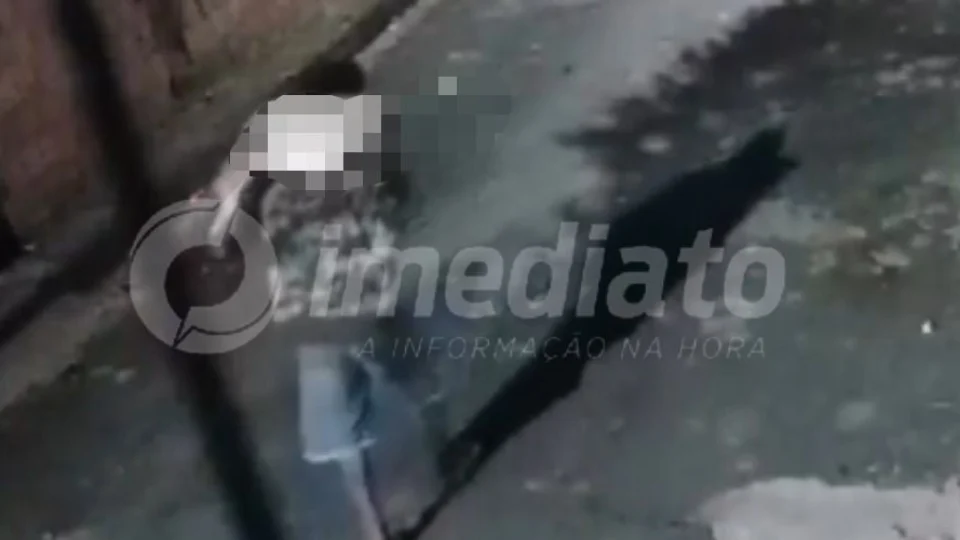 VEJA VÍDEO: homem esquarteja cachorro e o abandona na frente de casa no bairro Flores