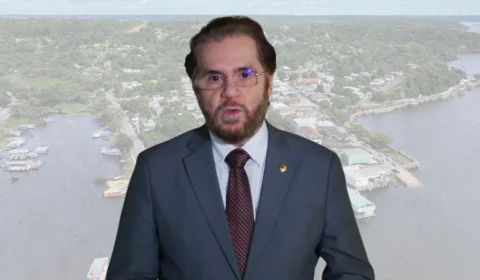 Senador Plínio Valério critica influência de ONGs que tentam barrar projeto bilionário no AM