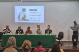 Estudo aponta caminhos para tirar o sauim-de-coleira da rota da extinção