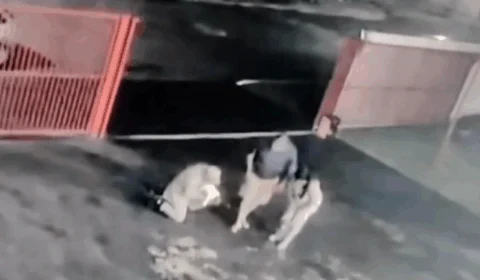 VEJA VÍDEO: bebê é salvo por bombeiro após engasgar durante amamentação