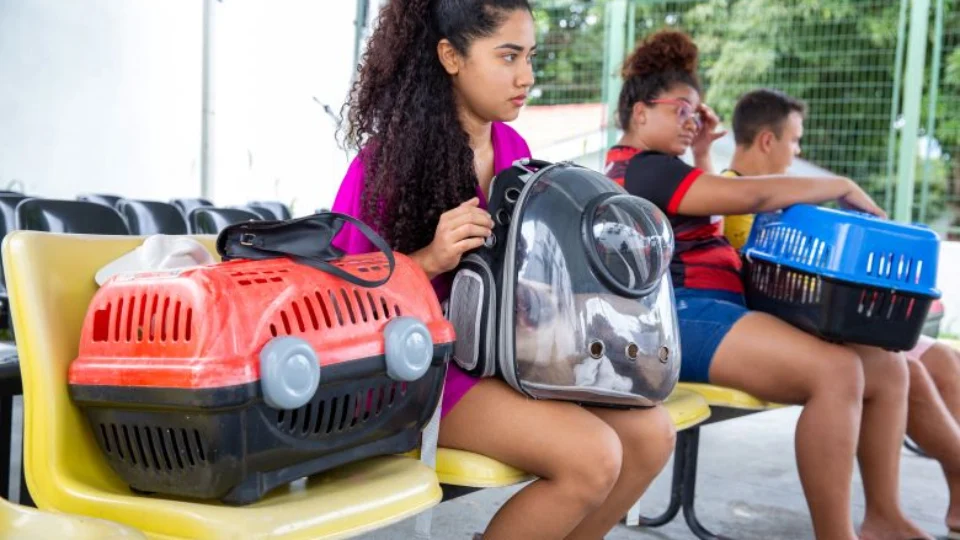 Agendamento para castração gratuita inicia em 29 de novembro em Manaus