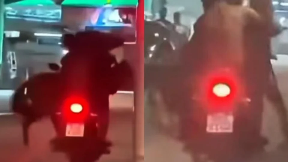 VEJA VÍDEO: homem é flagrado transportando cavalo em moto