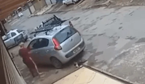 VEJA VÍDEO: câmera flagra momento que mulher chuta, atropela e mata gato
