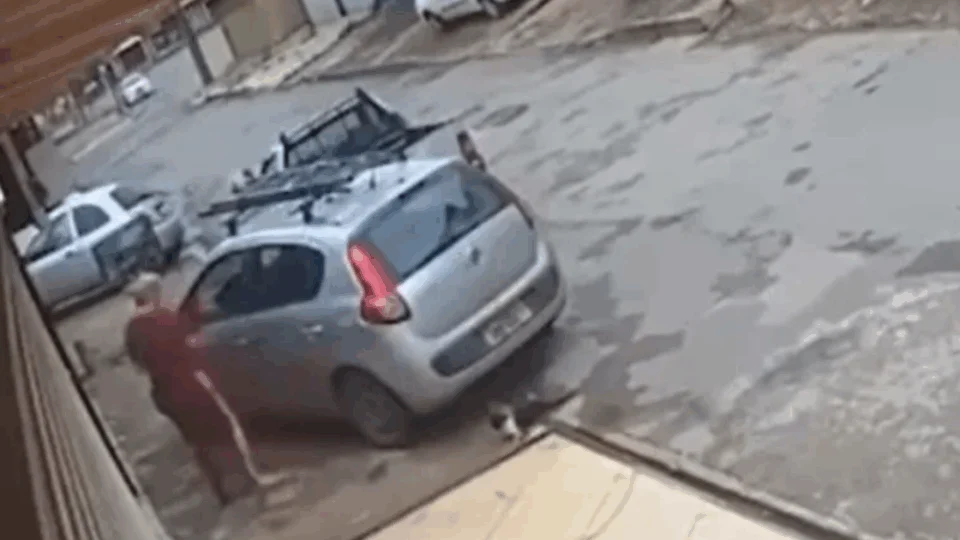 VEJA VÍDEO: câmera flagra momento que mulher chuta, atropela e mata gato