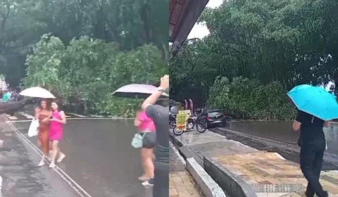 Chuva derruba árvore e causa transtornos no trânsito do Centro de Manaus