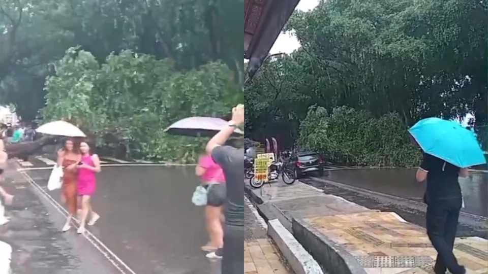 Chuva derruba árvore e causa transtornos no trânsito do Centro de Manaus