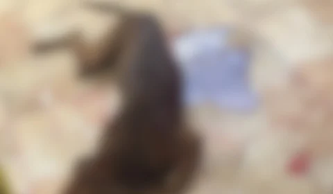 Mulher é acusada de esfaquear cachorro em Iranduba