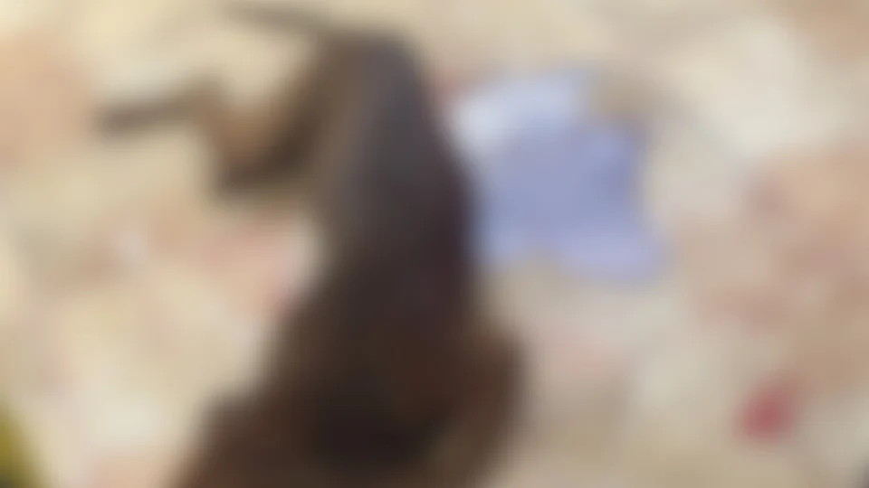 Mulher é acusada de esfaquear cachorro em Iranduba