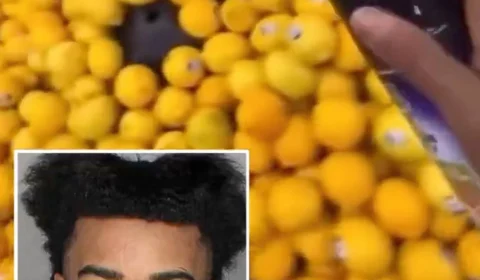 VÍDEO: Influenciador americano que se filmou pulverizando pesticida em produtos de supermercado é preso