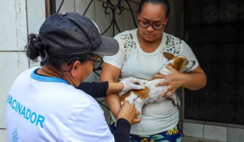 Manaus amplia pontos fixos de vacinação antirrábica; confira locais