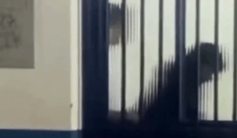 VEJA VÍDEO: casal é flagrado mantendo relações íntimas em sala de aula