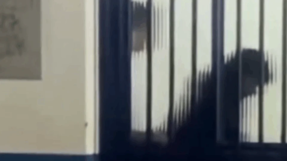 VEJA VÍDEO: casal é flagrado mantendo relações íntimas em sala de aula