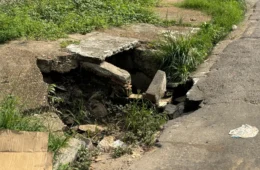 Bueiros entupidos causam alagamentos e prejuízos no bairro Flores