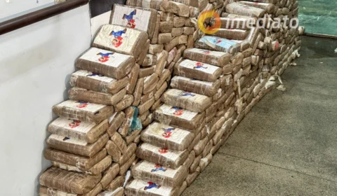 Cerca de 500 tabletes de maconha são apreendidos na zona sul de Manaus