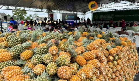 Governador Wilson Lima participa de entrega de alimentos do Programa de Aquisição de Alimentos (PAA)